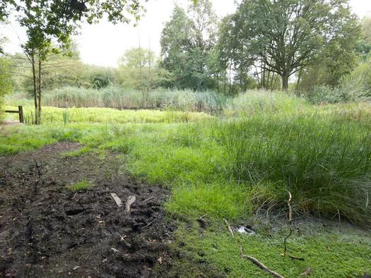 De Hoge Rielen, Kasterlee (Belgium)